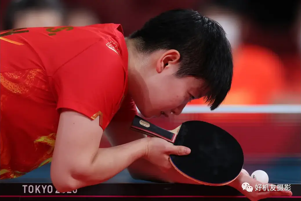 中超土帅强势崛起：16队本土主帅独占八强，山东泰山成最大受益者