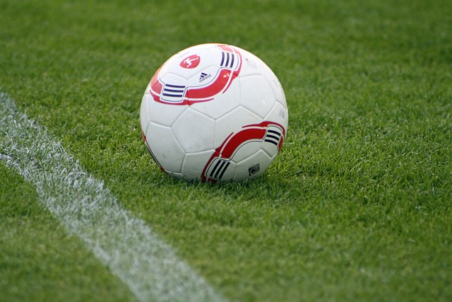 年的欧洲杯 年的欧洲杯