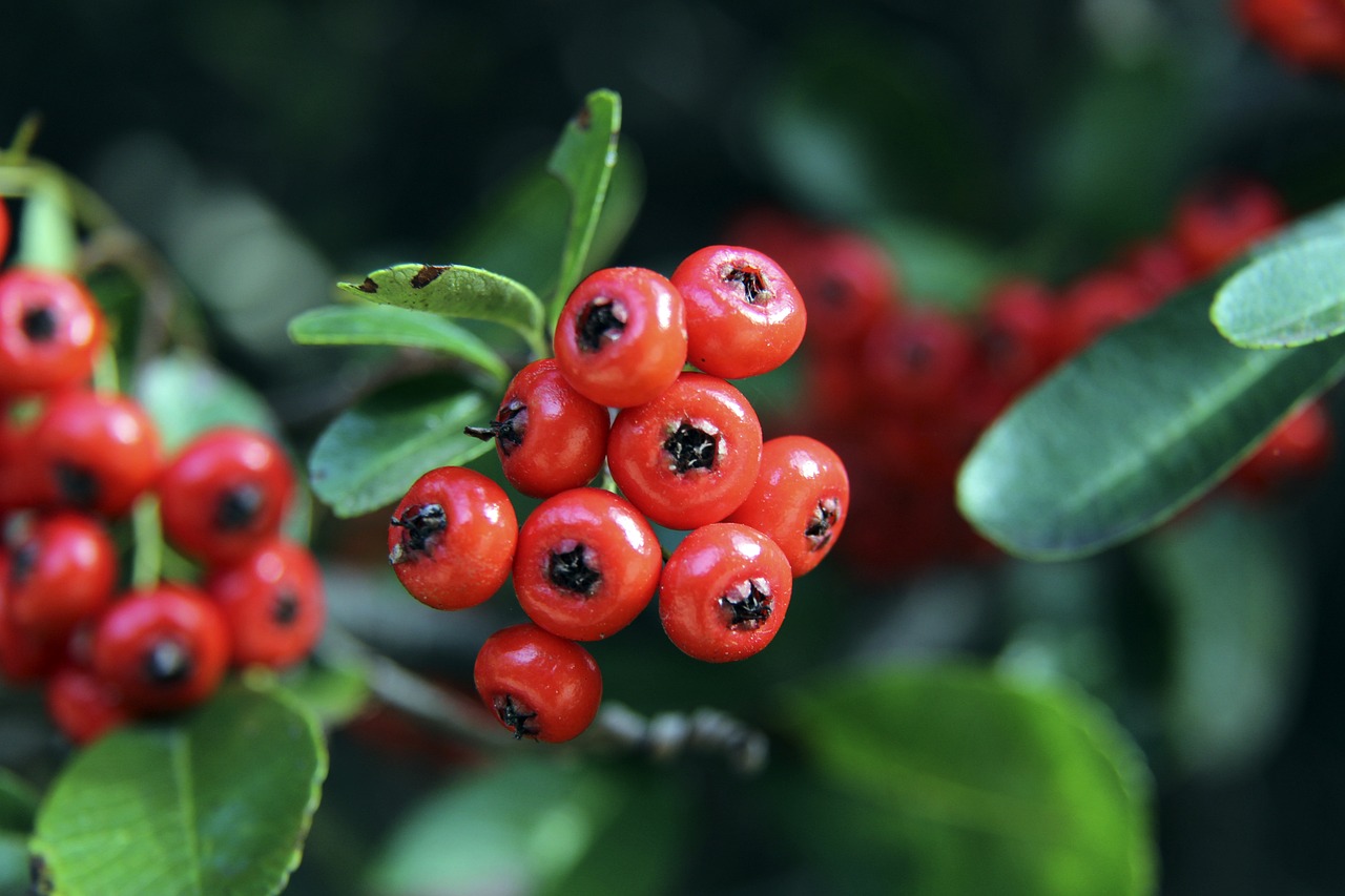 这也反映出 这也反映出