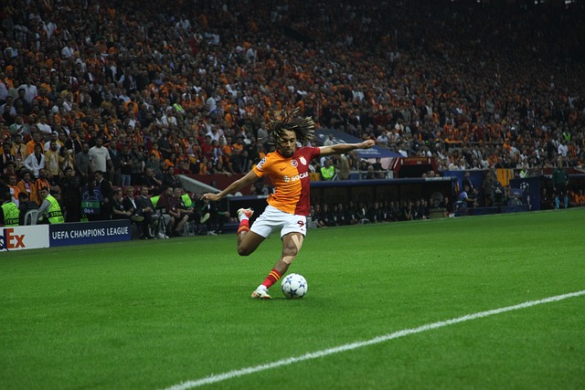 这些不仅仅 这些不仅仅