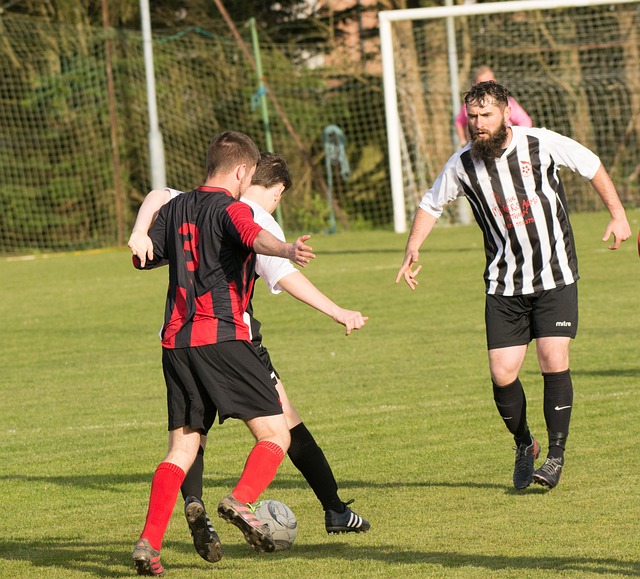 梁靖崑有机 梁靖崑有机