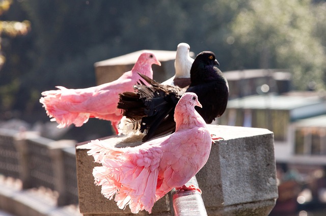 他多次在比 他多次在比