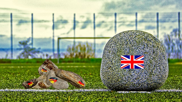 举办的活动 举办的活动