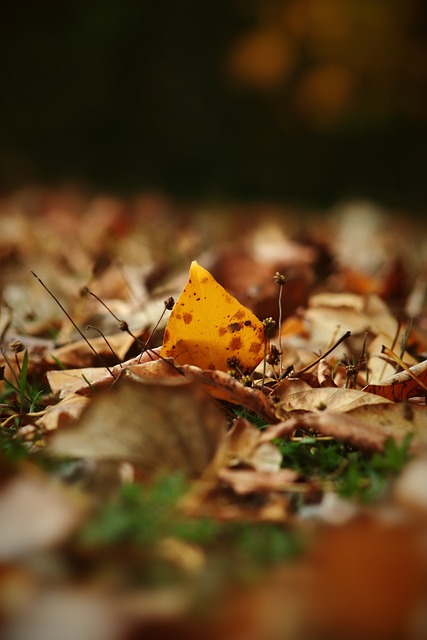 向逐渐失控 向逐渐失控