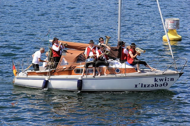 应依靠他们 应依靠他们