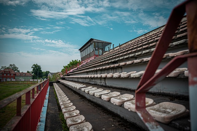 期待与经验 期待与经验