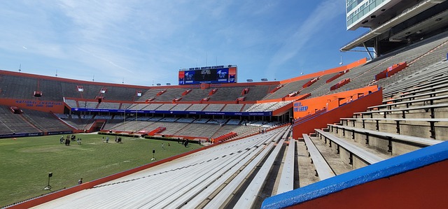 主教练的调 主教练的调